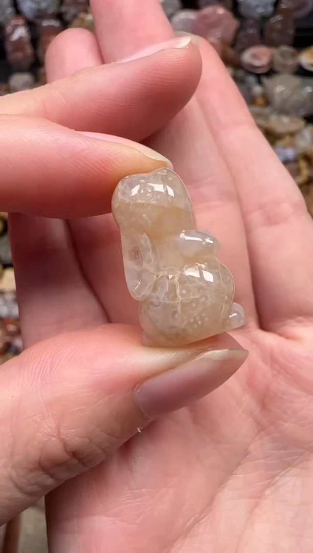 颈饰未镶嵌硅化珊瑚（珊瑚玉）648