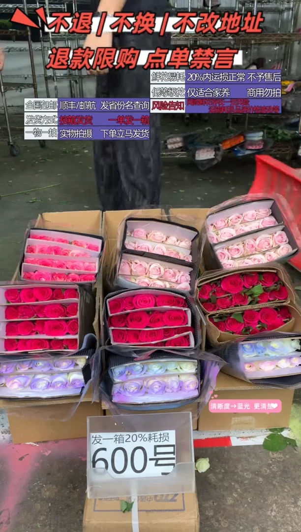 600号♥含20%耗损发一箱