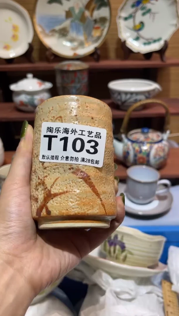 瓷片蘭*             T103