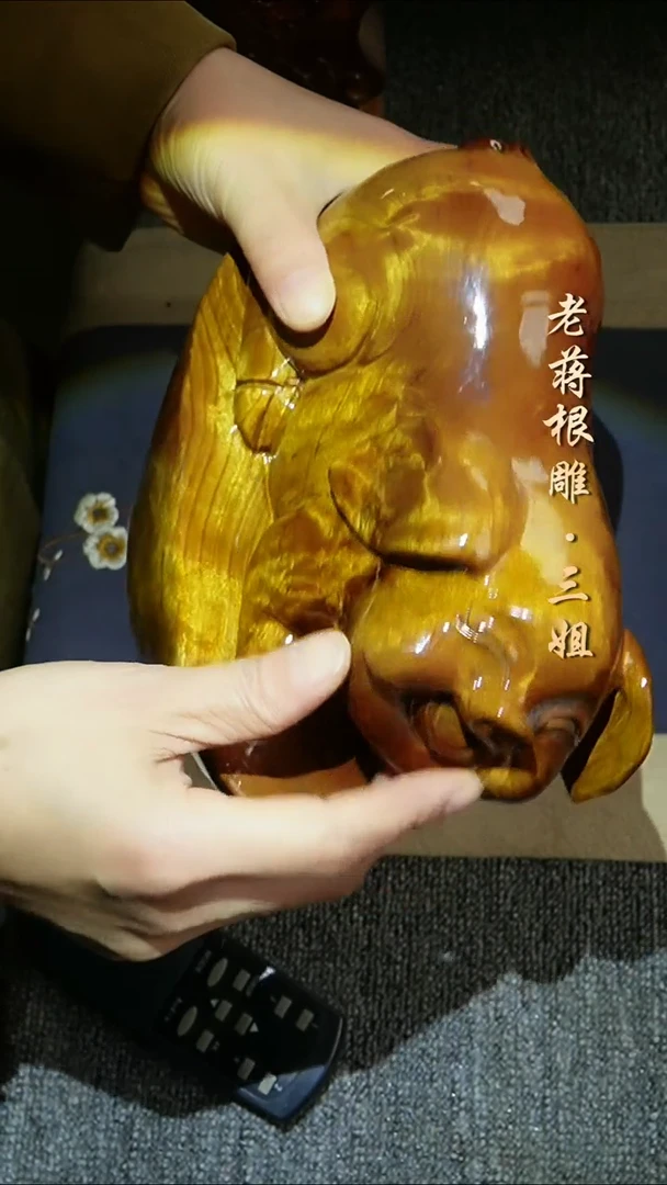 木金丝楠猪20-10-17