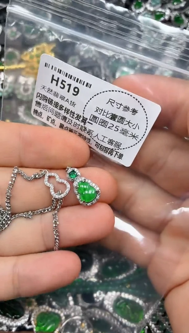 颈饰未镶嵌翡翠H519项链