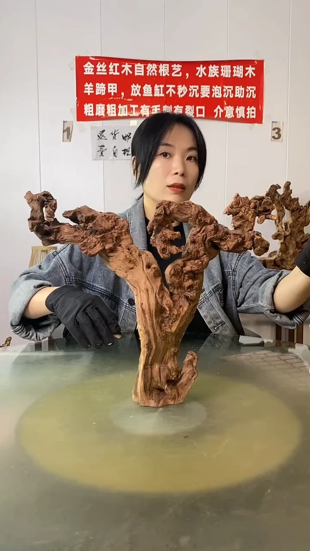 香榧木刘*金丝红木 羊蹄甲