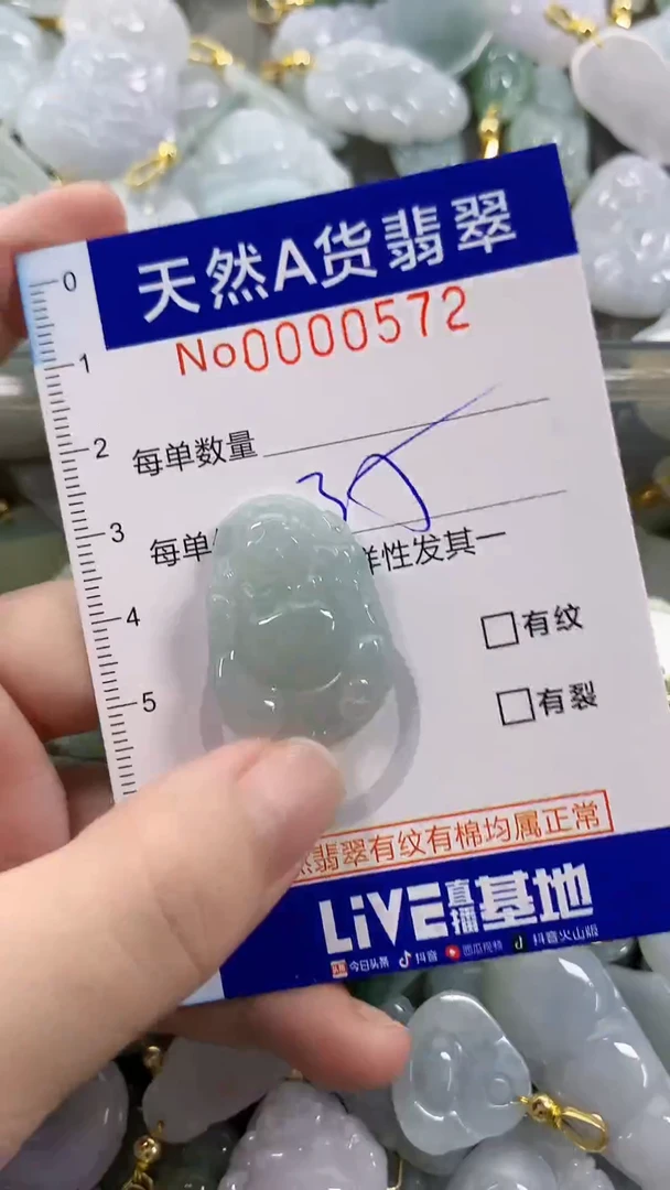 颈饰未镶嵌翡翠天然A货翡翠