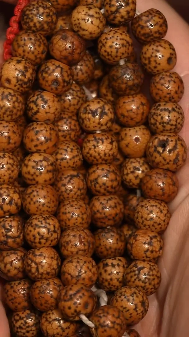 冲赛康胡子哥，藏传念珠129