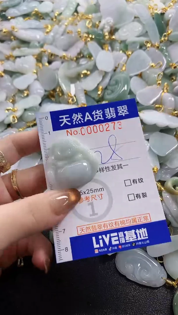 颈饰未镶嵌翡翠天然A货翡翠