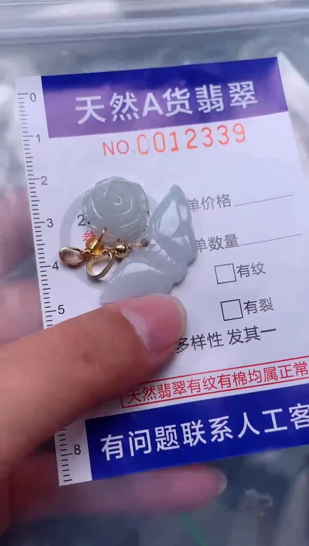 翡翠未镶嵌吊坠(赠链)1