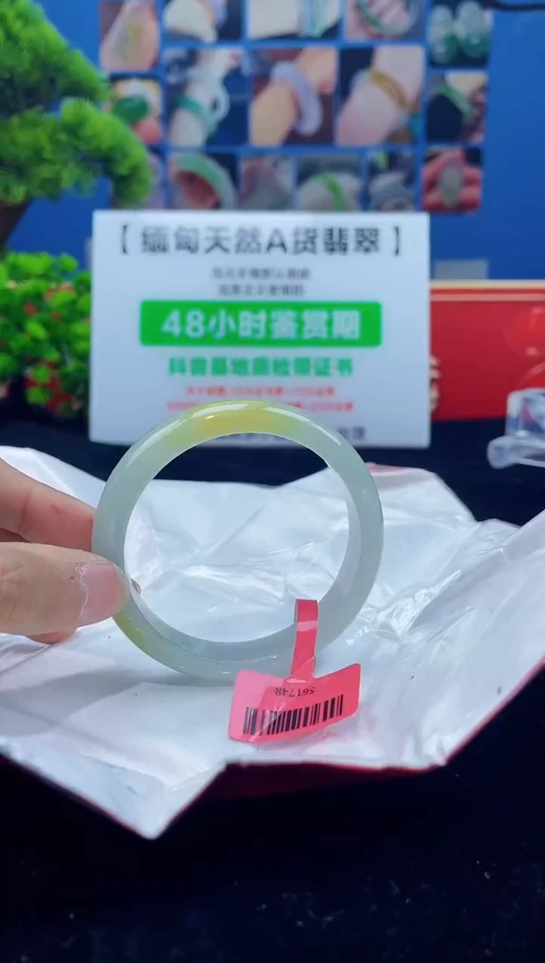【闪购商品】翡翠手镯未镶嵌手镯6