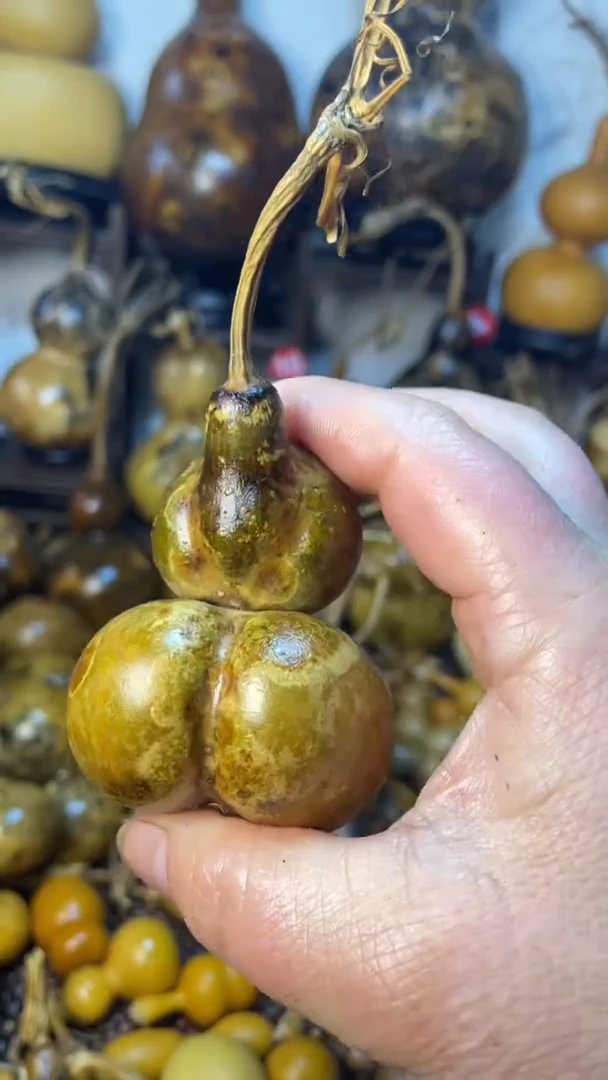 【闪购商品】葫芦葫芦葫芦葫芦