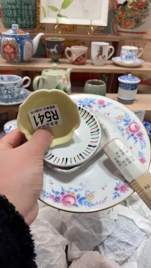 【闪购商品】瓷片当天凑满25米包邮R541