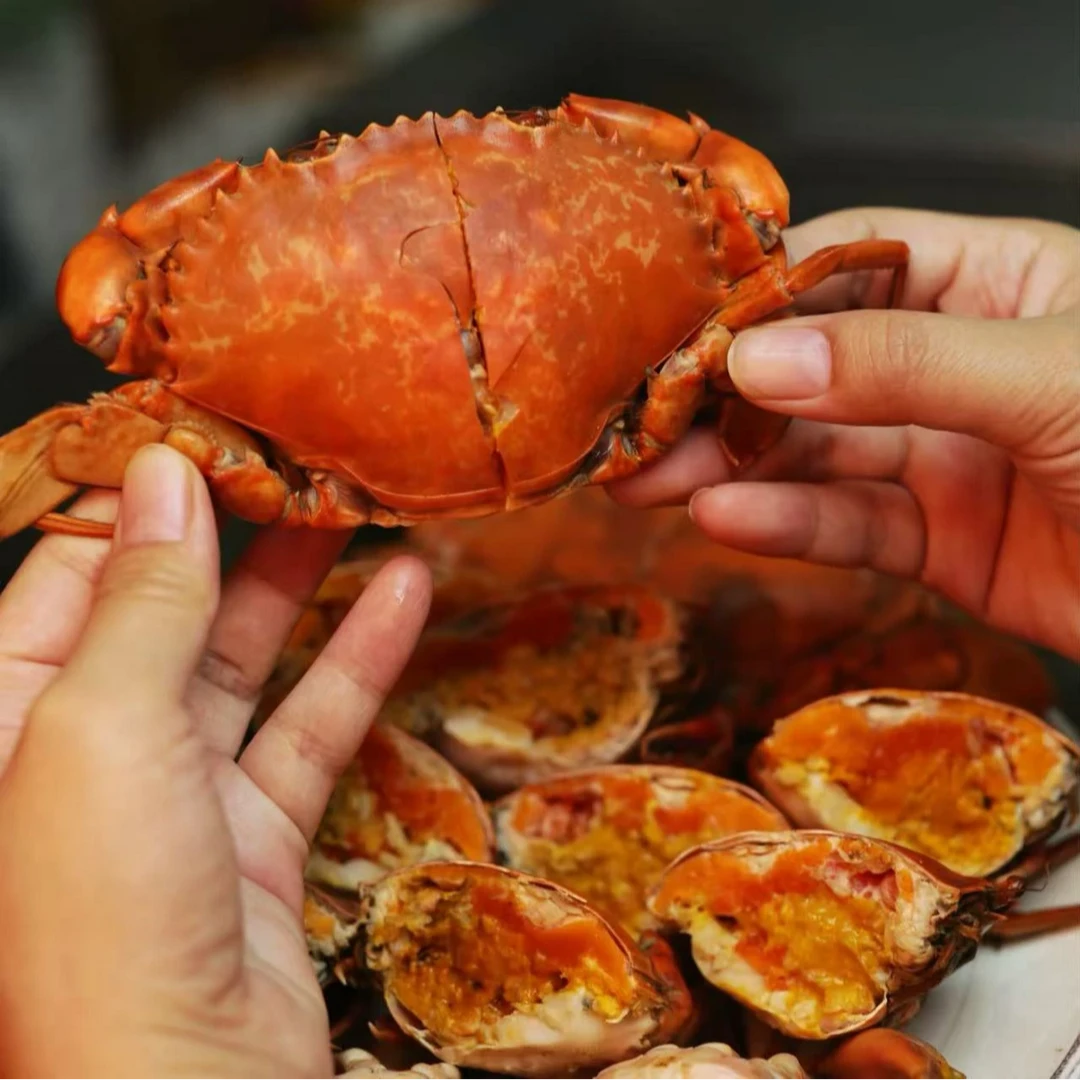 【买3只送2只】顺丰包邮 当季红膏蟹母蟹 青蟹螃蟹活发到家 有膏有黄100-150g/只 CX