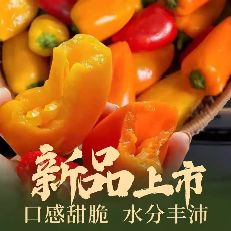 【顺丰包邮】甜椒新鲜水果椒迷你彩椒脆甜多汁生吃不辣健身沙拉水果