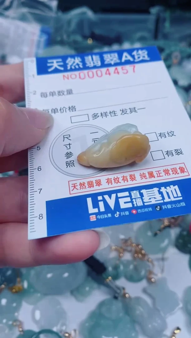 颈饰未镶嵌翡翠00004457