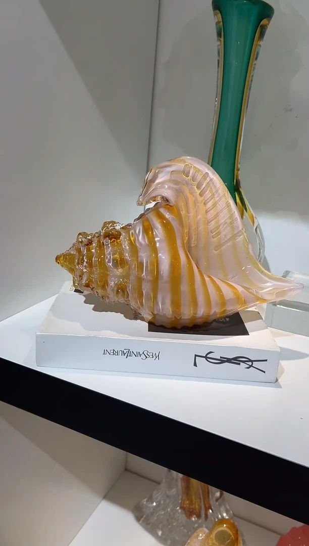 条纹大海螺一个 现货