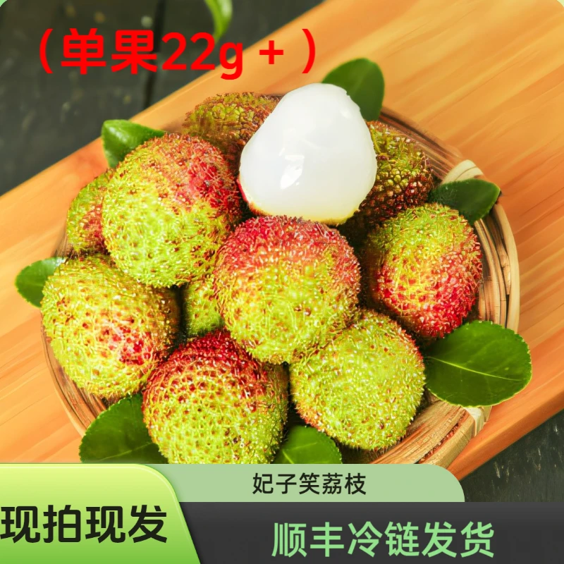 【只发22g+精选大果;顺丰包邮次日达】正宗海南妃子笑荔枝 新鲜采摘不泡水不催熟 当季水果海南