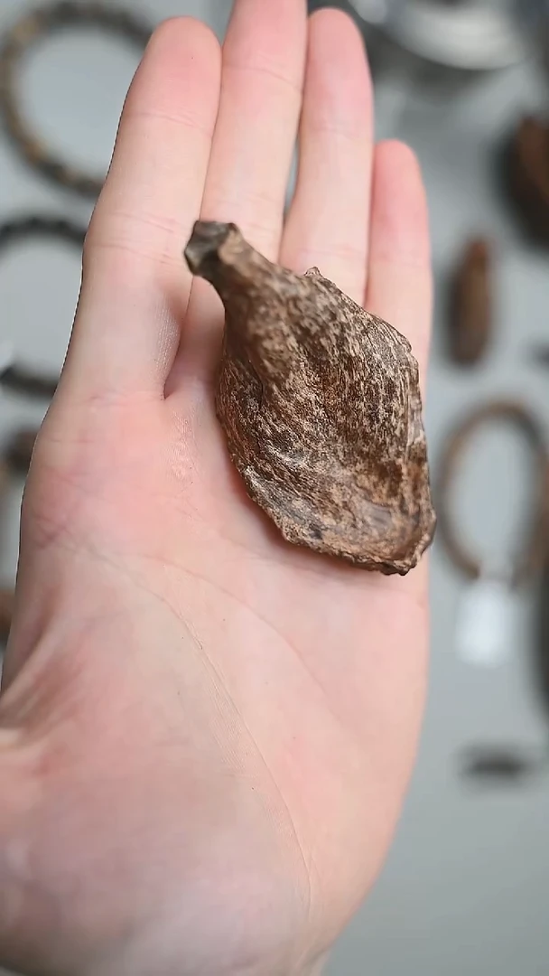 沉香手把件柬埔寨沉水6g