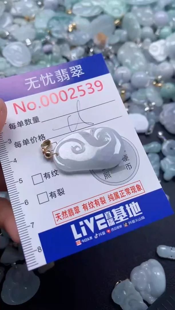 颈饰未镶嵌翡翠2539