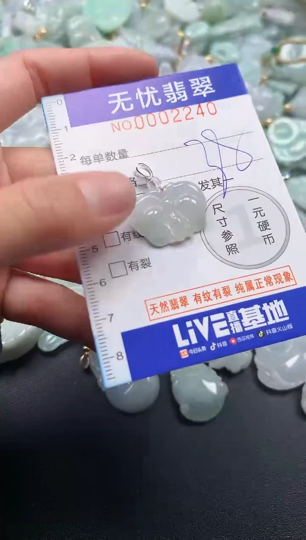 颈饰未镶嵌翡翠2240