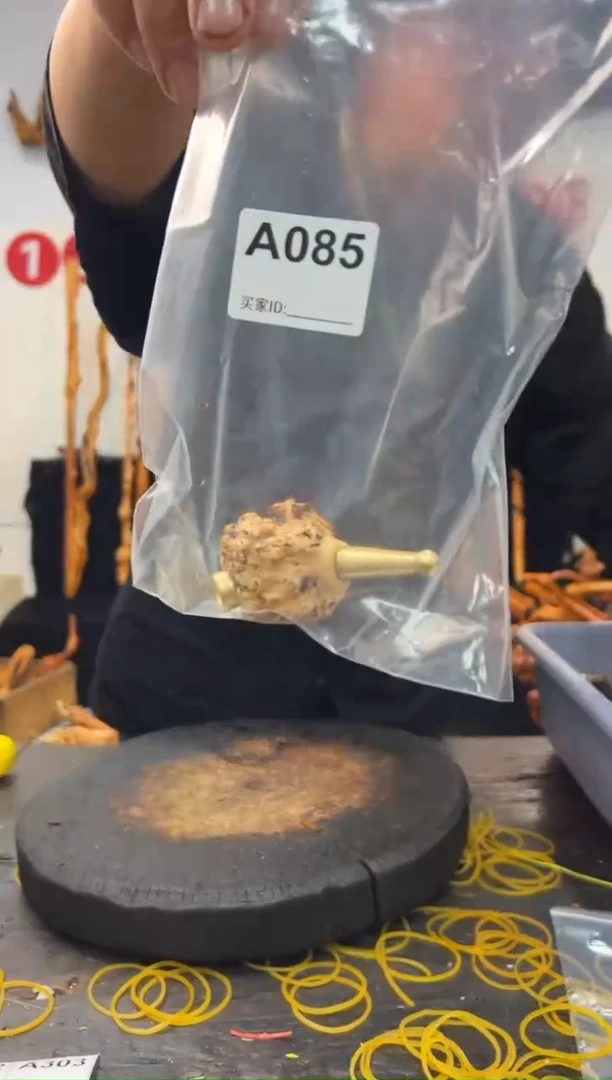 黑果木其他黑果木264