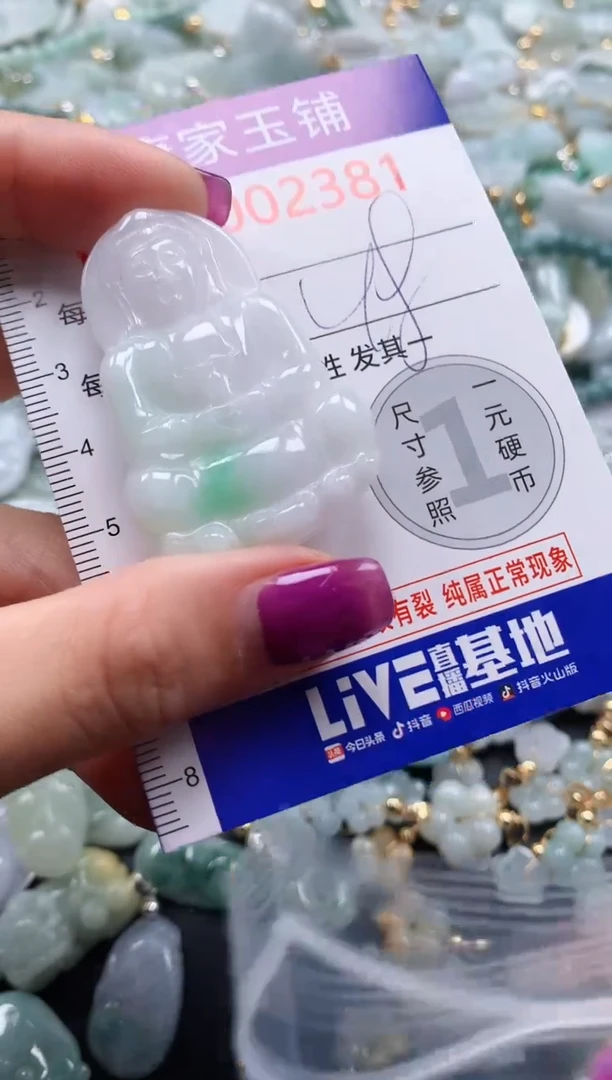 颈饰未镶嵌翡翠2381