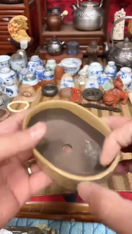 发发发发发发发发发