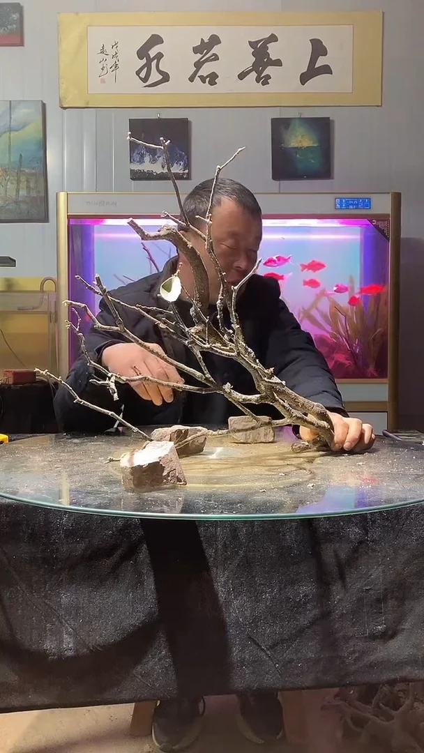 156号天然黄栎木