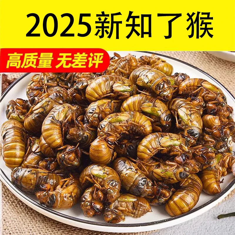 【顺丰邮寄】知了猴50只100只新鲜速冻当季新货2025年