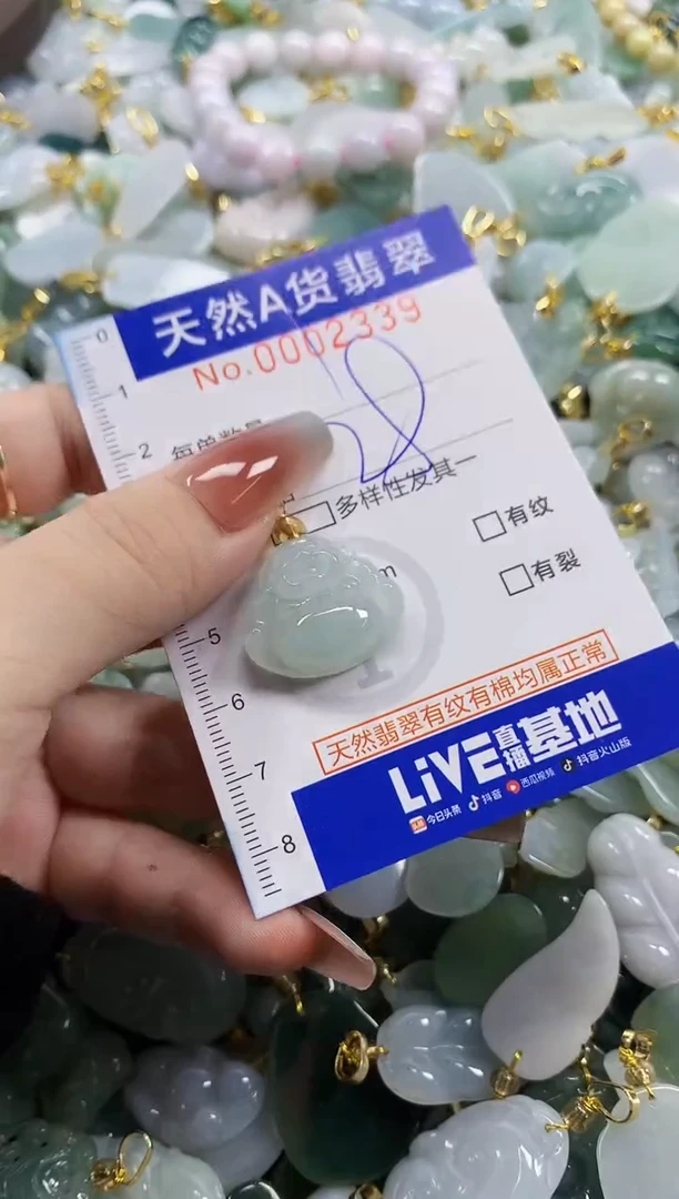 颈饰未镶嵌翡翠天然A货翡翠