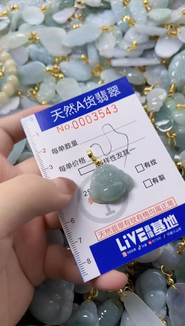 颈饰未镶嵌翡翠天然A货翡翠