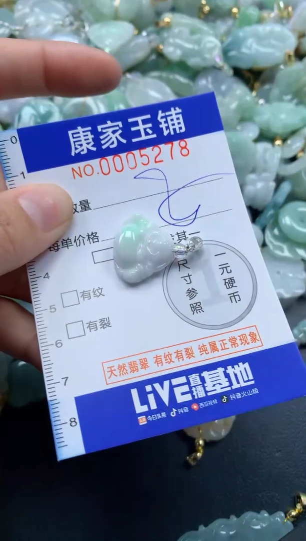 颈饰未镶嵌翡翠5278