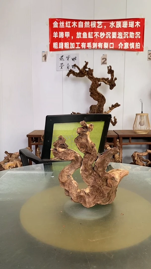 香榧木幸**…金丝红木 羊蹄甲