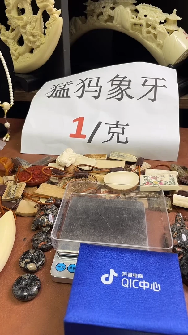 猛犸袅袅16m单株