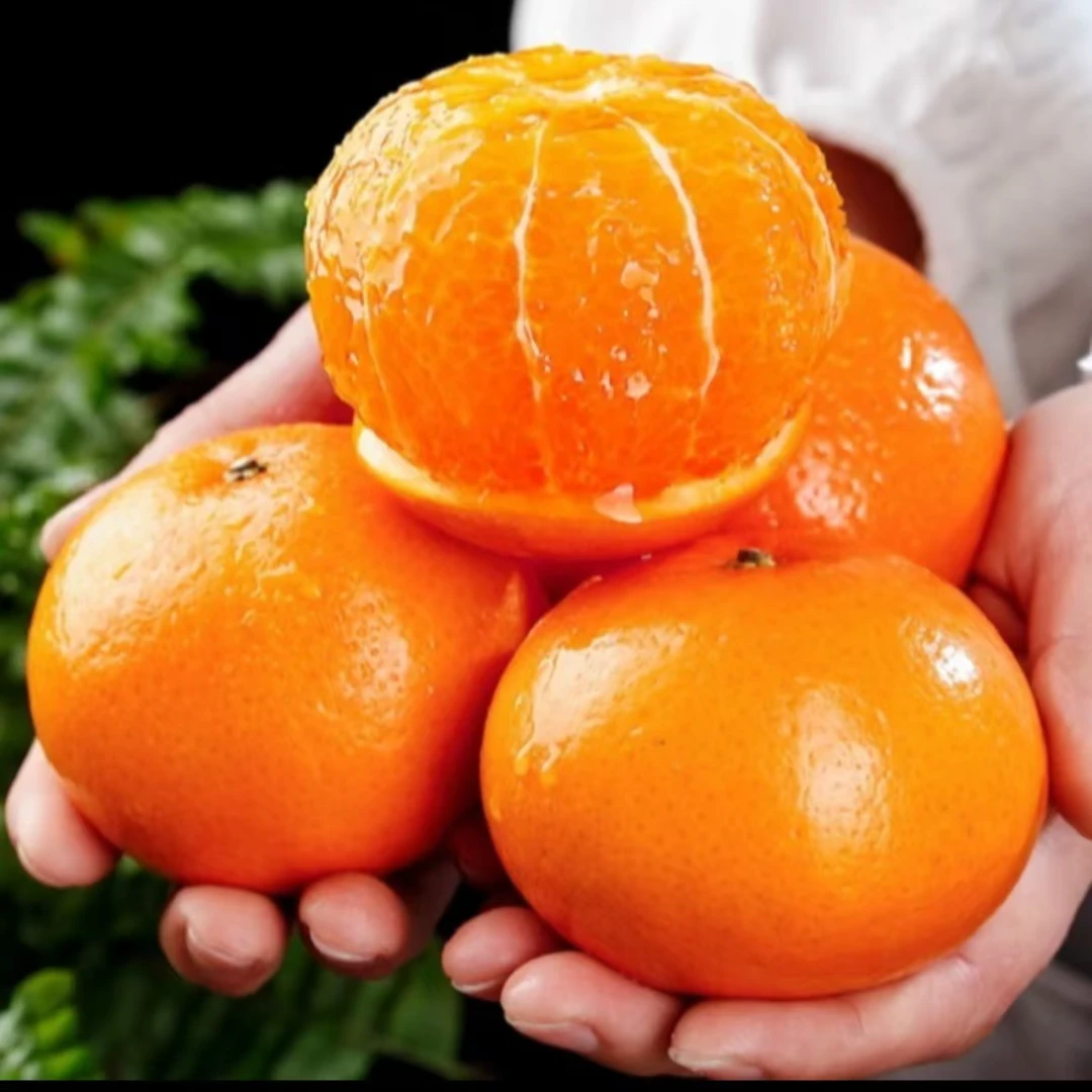 爆甜正宗高山沃柑橘子新鲜水果当季整箱批发桔子超甜薄皮