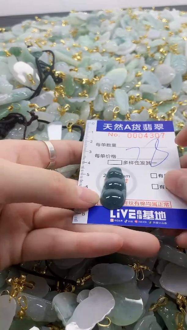 颈饰未镶嵌翡翠天然A货翡翠