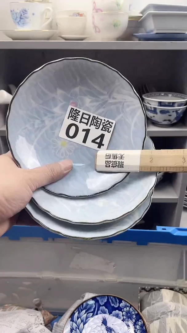 【闪购商品】瓷片longritaoci14