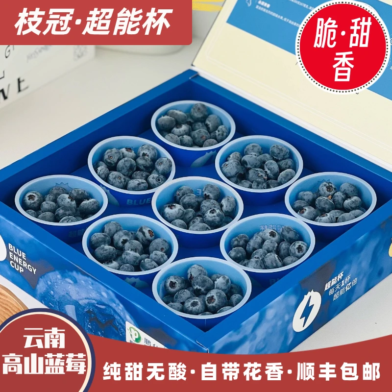 枝冠·超能杯蓝莓25纯甜无酸花香浓郁云南高山鲜果孕妇应季水果