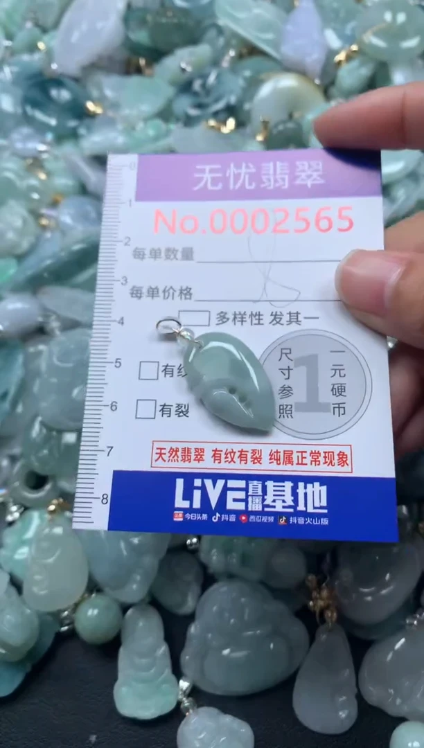 颈饰未镶嵌翡翠2565