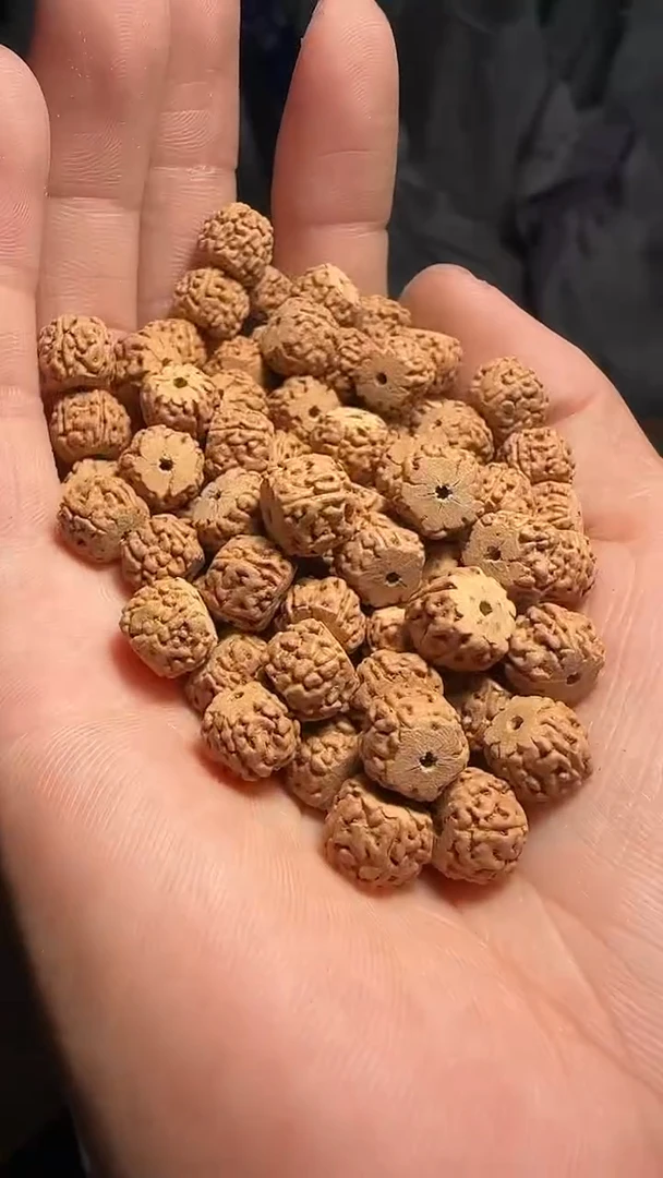 金刚菩提手串非全品龙切一代龙散籽9mm一份一百颗