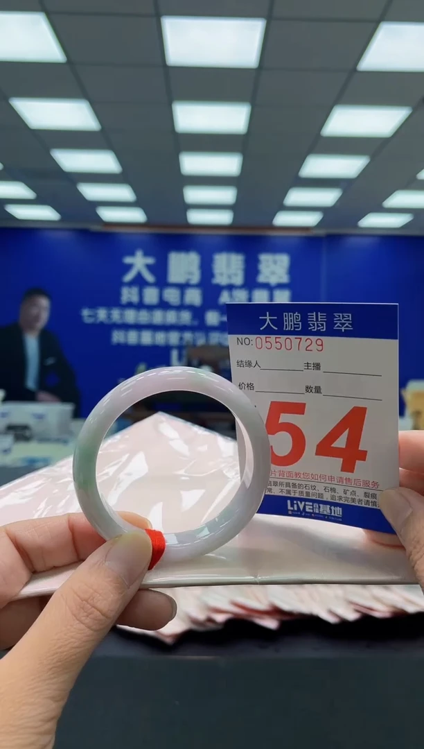 未镶嵌手镯翡翠AAAAAAAAA