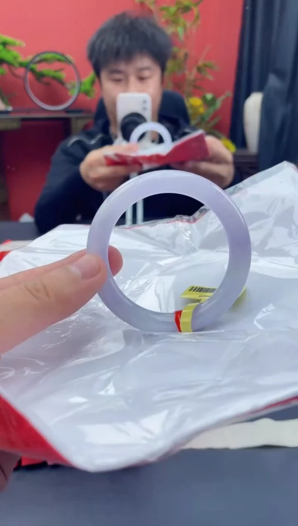 未镶嵌手镯翡翠5