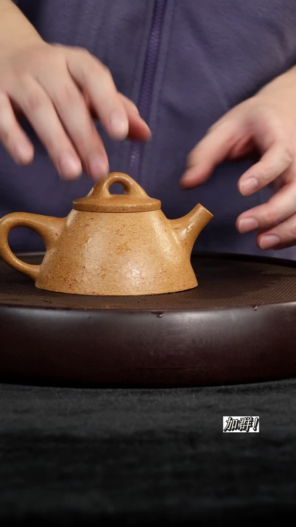 茶壶紫砂八目粗砂霸王石瓢