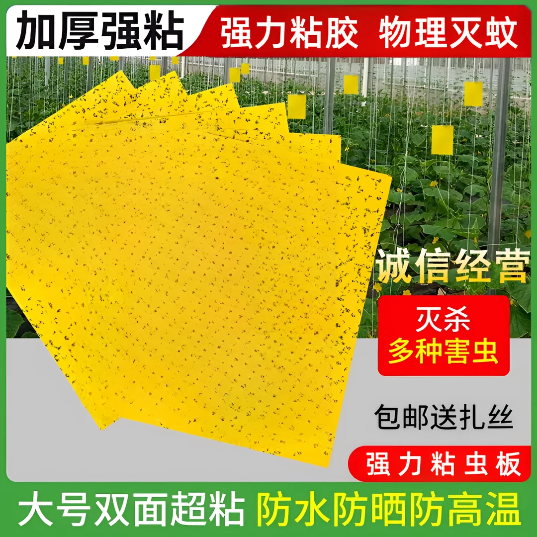 粘虫板黄板双面粘小飞虫用品果园果蝇诱捕大棚灭苍蝇贴强力粘蝇纸