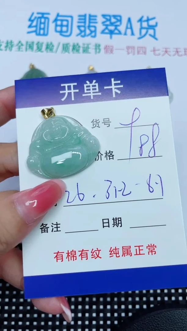 翡翠未镶嵌吊坠(赠链)9