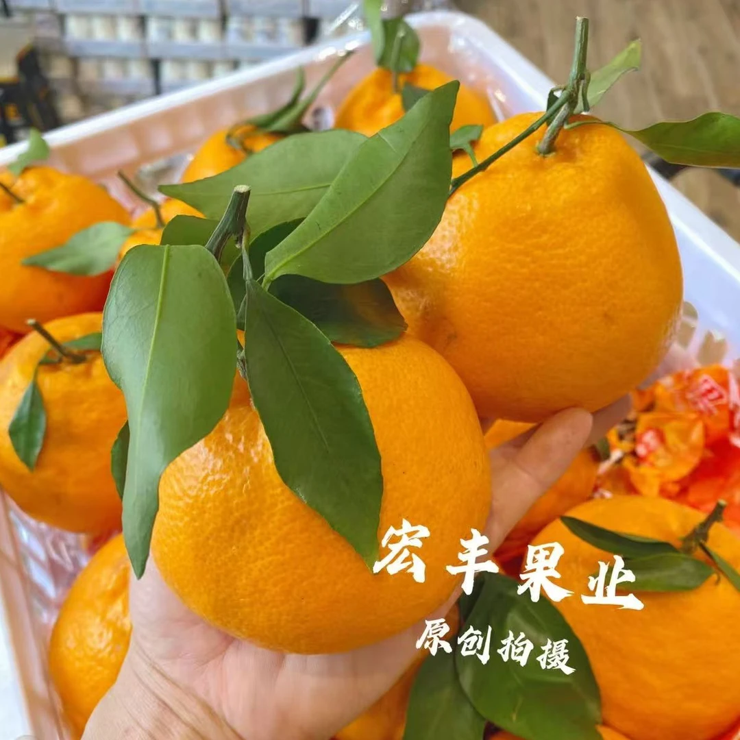 四川春见耙耙柑2斤装四川省