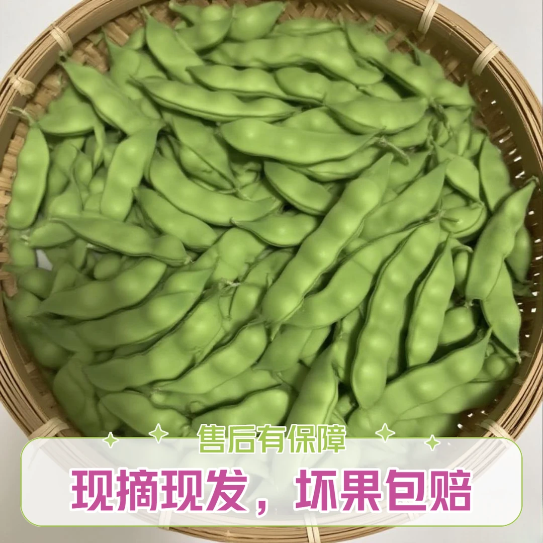 新鲜东北纯陆地九月青油豆角开锅即烂新鲜现摘无防腐自家菜园种植