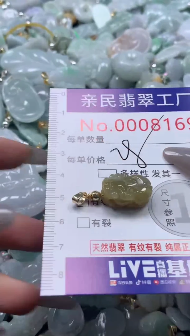 颈饰未镶嵌翡翠8169