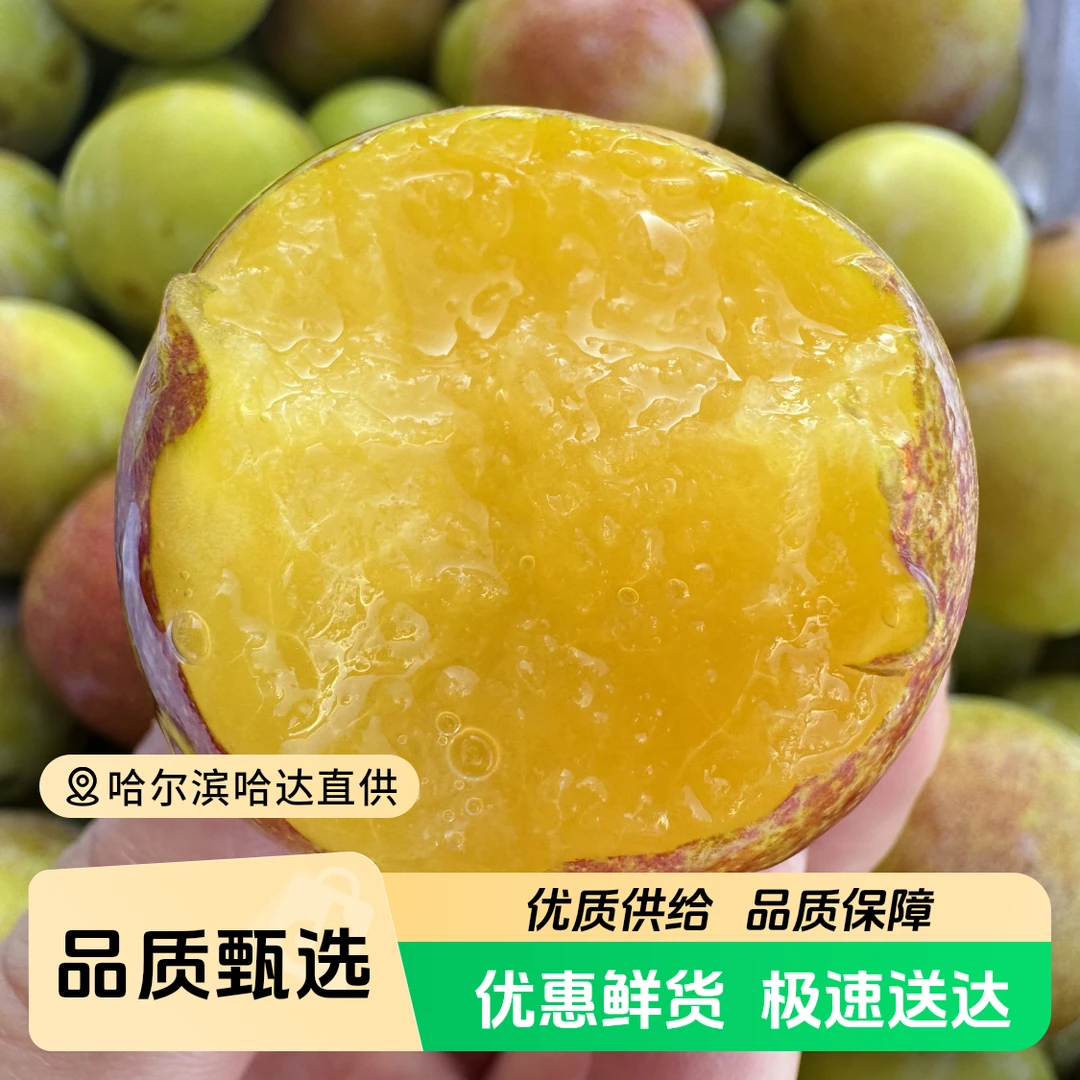 《小军严选》贵妃李子 香甜多汁果香浓郁新鲜采摘顺丰包邮李子同城送新疆维吾尔自治区
