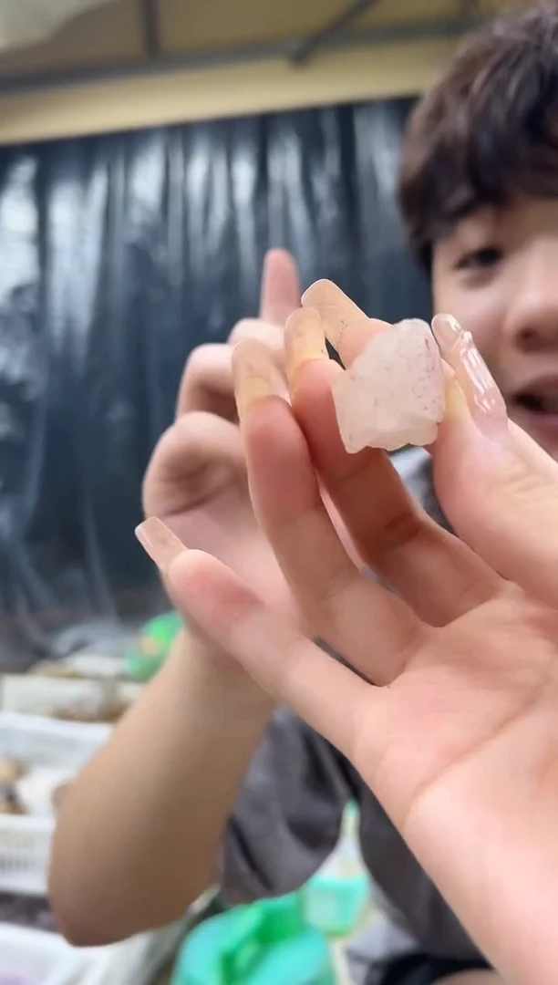 未镶嵌水晶大型摆件（非配饰）312