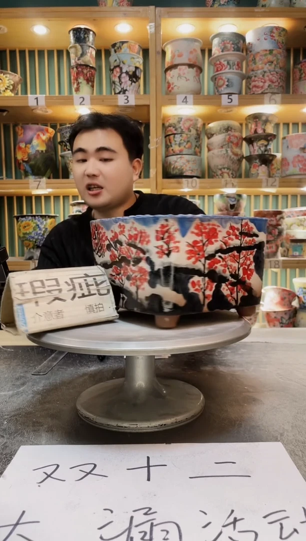 陶默认微瑕一物一拍1212-258