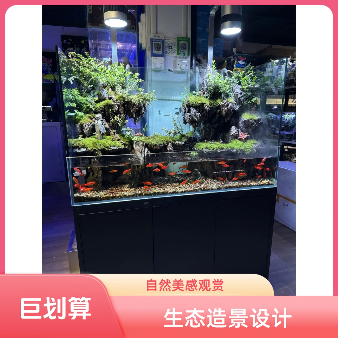 水陆造景缸 1.2m*0.55m*1.5m 带雾化+真植物和苔藓 支持私人定制和上门造景
