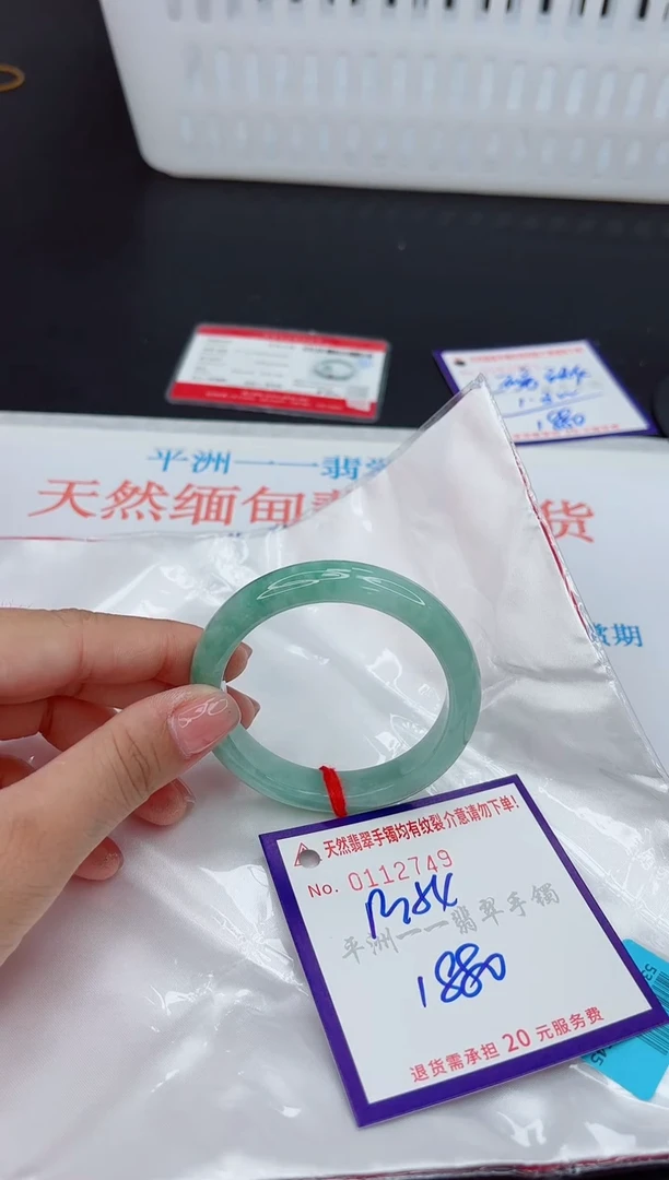 未镶嵌手镯翡翠1